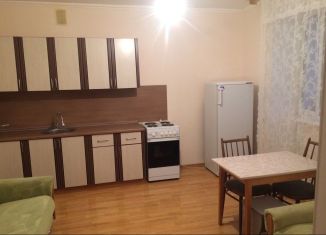 Сдаю 1-комнатную квартиру, 50 м2, Республика Башкортостан, Новомостовая улица, 8