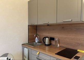 Продажа 1-ком. квартиры, 34 м2, Сертолово, Центральная улица, 14к4