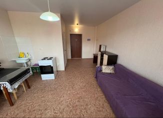 Продам квартиру студию, 30 м2, Ростов-на-Дону, улица Шаповалова, 1Гс1, ЖК Соловьиная Роща