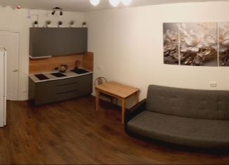 Сдается квартира студия, 21.9 м2, Санкт-Петербург, улица Маршала Казакова, 21к2, Красносельский район