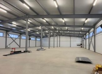 Сдается производство, 1000 м2, Ленинградская область, Колтушское городское поселение, 2970