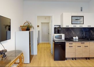 Аренда квартиры студии, 18 м2, деревня Столбово, проспект Куприна, 30к9