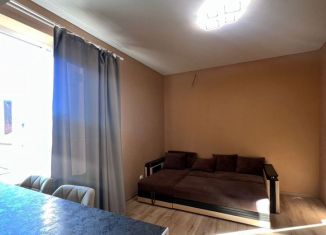 Сдается квартира студия, 40 м2, Ростов-на-Дону, Белорусская улица, 74