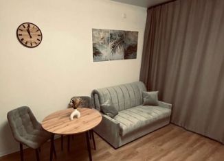 Сдается в аренду квартира студия, 18.5 м2, Томск, улица Карпова, 23