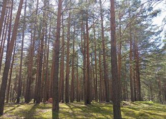 Продаю участок, 19.7 сот., деревня Друганова, Центральная улица