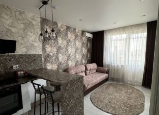 Продажа квартиры студии, 28 м2, посёлок Российский, улица Заводовского, 14