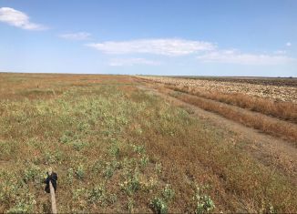 Продам земельный участок, 952 сот., Крым, Новая улица