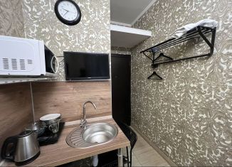 Сдается квартира студия, 14 м2, Санкт-Петербург, улица Черняховского, 31