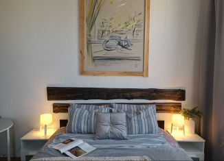 Сдаю квартиру студию, 28 м2, Санкт-Петербург, Тележная улица