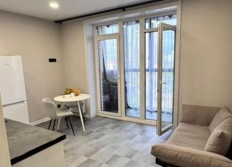 Сдается в аренду 1-ком. квартира, 37 м2, Новосибирск, Красный проспект, 167/3, метро Заельцовская