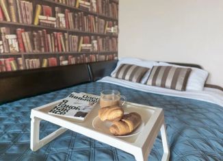 Сдается в аренду однокомнатная квартира, 35 м2, Санкт-Петербург, Московский проспект, 205