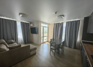 Двухкомнатная квартира в аренду, 49.5 м2, село Сукко, Мирная улица, 11к3