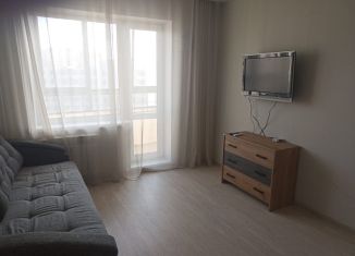 Аренда однокомнатной квартиры, 30 м2, Новосибирск, улица имени генерал-майора А.Н. Рожкина, 5/1, метро Заельцовская