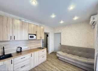 Аренда 1-ком. квартиры, 31 м2, Новосибирск, улица Василия Клевцова, 3, метро Заельцовская