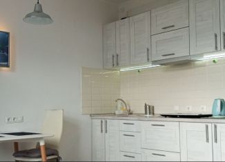 Сдам в аренду квартиру студию, 29 м2, Котельники, Сосновая улица, 1к2