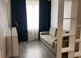 Сдам в аренду 1-ком. квартиру, 35 м2, Санкт-Петербург, Пискарёвский проспект, 25к2