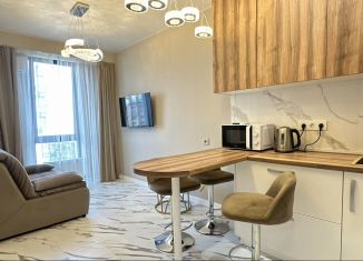 Сдаю двухкомнатную квартиру, 30 м2, Сочи, Курортный проспект, 96/2, микрорайон Приморье