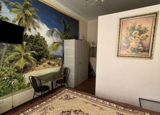 Сдается в аренду квартира студия, 29 м2, Санкт-Петербург, Заозёрная улица, 8