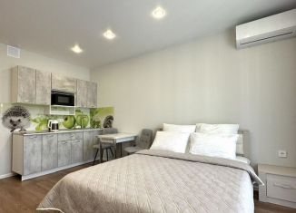 Сдается в аренду квартира студия, 25 м2, Сочи, улица Искры, 88к10