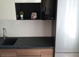 Сдача в аренду 1-комнатной квартиры, 35 м2, Санкт-Петербург, проспект Ветеранов, 171к2, метро Проспект Ветеранов