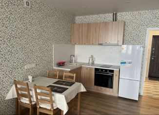 Сдается квартира студия, 40 м2, Новосибирск, Кавалерийская улица, 3/1, метро Заельцовская