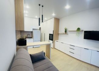 Продается квартира студия, 23.6 м2, Сочи, Ясногорская улица, 16/2к1, микрорайон Бытха