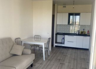 Сдам 1-ком. квартиру, 41.6 м2, Пермь, Серебристая улица