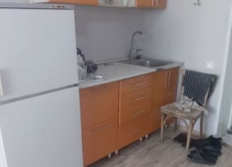 Продаю однокомнатную квартиру, 20 м2, Барнаул, Микронная улица, 137