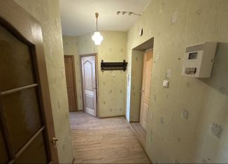 2-ком. квартира в аренду, 53 м2, Ростов-на-Дону, улица Ерёменко, 60/10