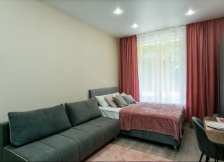 Сдается в аренду квартира студия, 27 м2, Сочи, улица Искры, 88