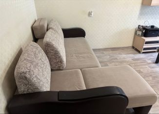 Аренда 2-ком. квартиры, 45 м2, Новосибирск, улица Бориса Богаткова, 169, Октябрьский район