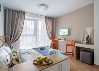 Сдается квартира студия, 25 м2, посёлок Парголово, Толубеевский проезд, 8к2