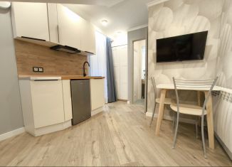 Аренда квартиры студии, 20 м2, Санкт-Петербург, Ораниенбаумская улица, 22-24