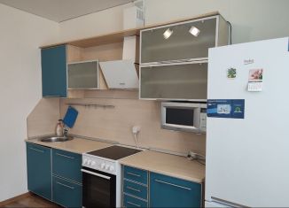 1-ком. квартира в аренду, 42 м2, Республика Башкортостан, улица Софьи Перовской, 38