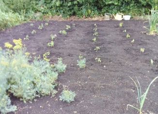 Продаю земельный участок, 19 сот., село Домашка, улица Винновка, 4