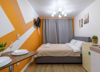 Сдам квартиру студию, 17 м2, Санкт-Петербург, набережная реки Фонтанки