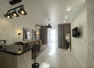 Сдам квартиру студию, 30 м2, Ростов-на-Дону, Красноармейская улица, 157В/83