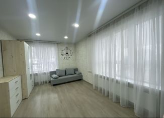 Двухкомнатная квартира в аренду, 56 м2, Республика Башкортостан, проспект Дружбы Народов, 57/1