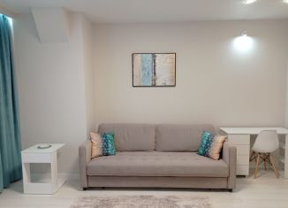 Сдача в аренду 1-комнатной квартиры, 45 м2, Москва, Автозаводская улица, 23с120, метро ЗИЛ