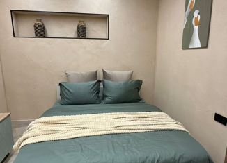 Аренда однокомнатной квартиры, 30 м2, Сочи, улица Чайковского, 28, микрорайон Центральный