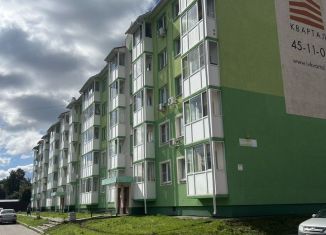 Продается квартира студия, 27 м2, Иваново, микрорайон Новая Ильинка, 6А