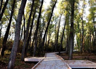 Продажа однокомнатной квартиры, 49.7 м2, Махачкала, Благородная улица, 13