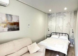 Сдам квартиру студию, 30 м2, Сочи, Дагомысская улица, 19