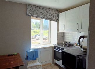 Продажа двухкомнатной квартиры, 49.1 м2, Чусовой, улица 50 лет ВЛКСМ, 2Г