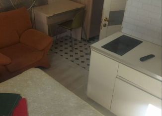 Сдается квартира студия, 18 м2, Санкт-Петербург, Старо-Петергофский проспект, 26В