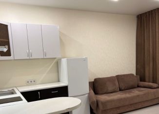 Сдается в аренду квартира студия, 27 м2, Новосибирск, Обская улица, 82, Октябрьский район