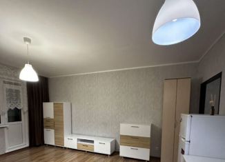 Сдаю квартиру студию, 33 м2, Новосибирск, Выборная улица, 154/2, Октябрьский район