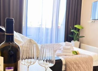 Аренда квартиры студии, 20.1 м2, Сочи, Дагомысский переулок, 18к4, микрорайон Ареда