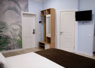 Продам квартиру студию, 25 м2, Сочи, Виноградная улица, 216А