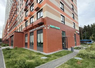 Сдаю в аренду помещение свободного назначения, 60 м2, посёлок городского типа Боброво, Лесная улица, 16